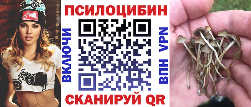 Псилоцибиновые грибы Magic Shrooms  где купить   Судогда 